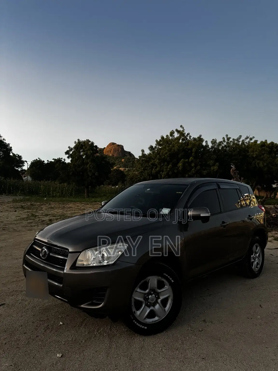 Toyota RAV4 2010 Brown
