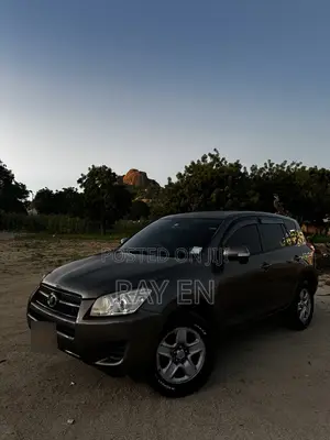 Toyota RAV4 2010 Brown