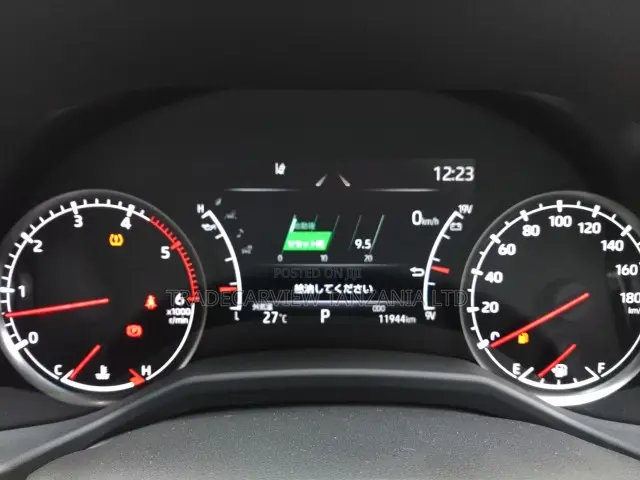 Toyota Land Cruiser LC300 2023 Pearl