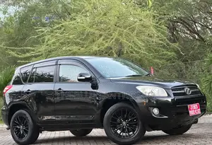 Toyota RAV4 2010 Black