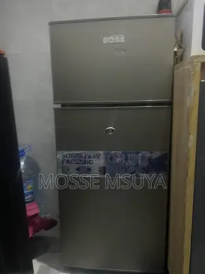 Fridge Dogo Aina Ya Boss