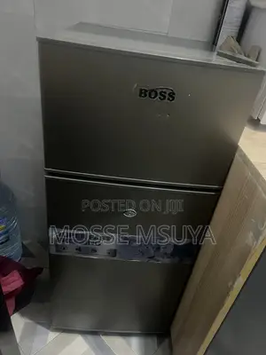 Fridge Dogo Aina Ya Boss