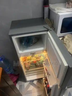 Fridge Dogo Aina Ya Boss