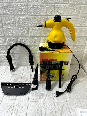 Hand Held Steam Clean