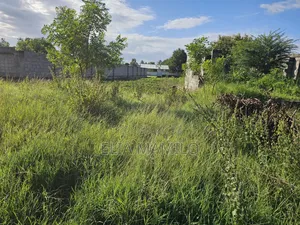 Kiwanja Kinauzwa, Plot for Sale