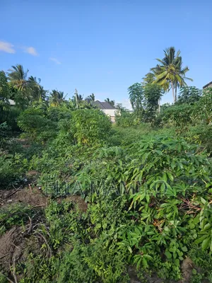 Plot for Sale, Kiwanja Kinauzwa Ungindoni, Kigamboni