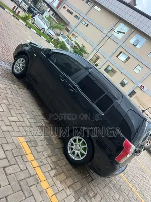 Toyota Raum 2010 Black