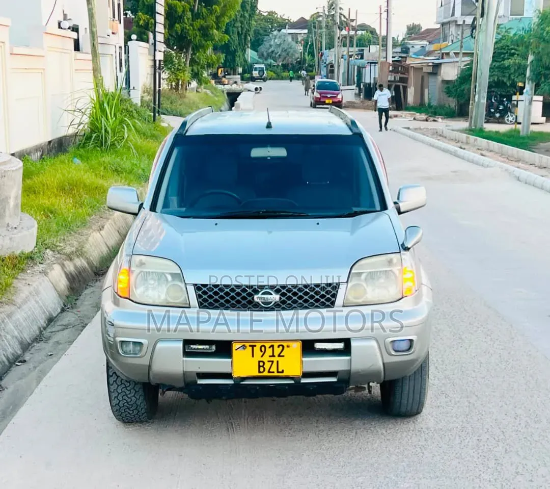 Nissan X-Trail 2003 Silver