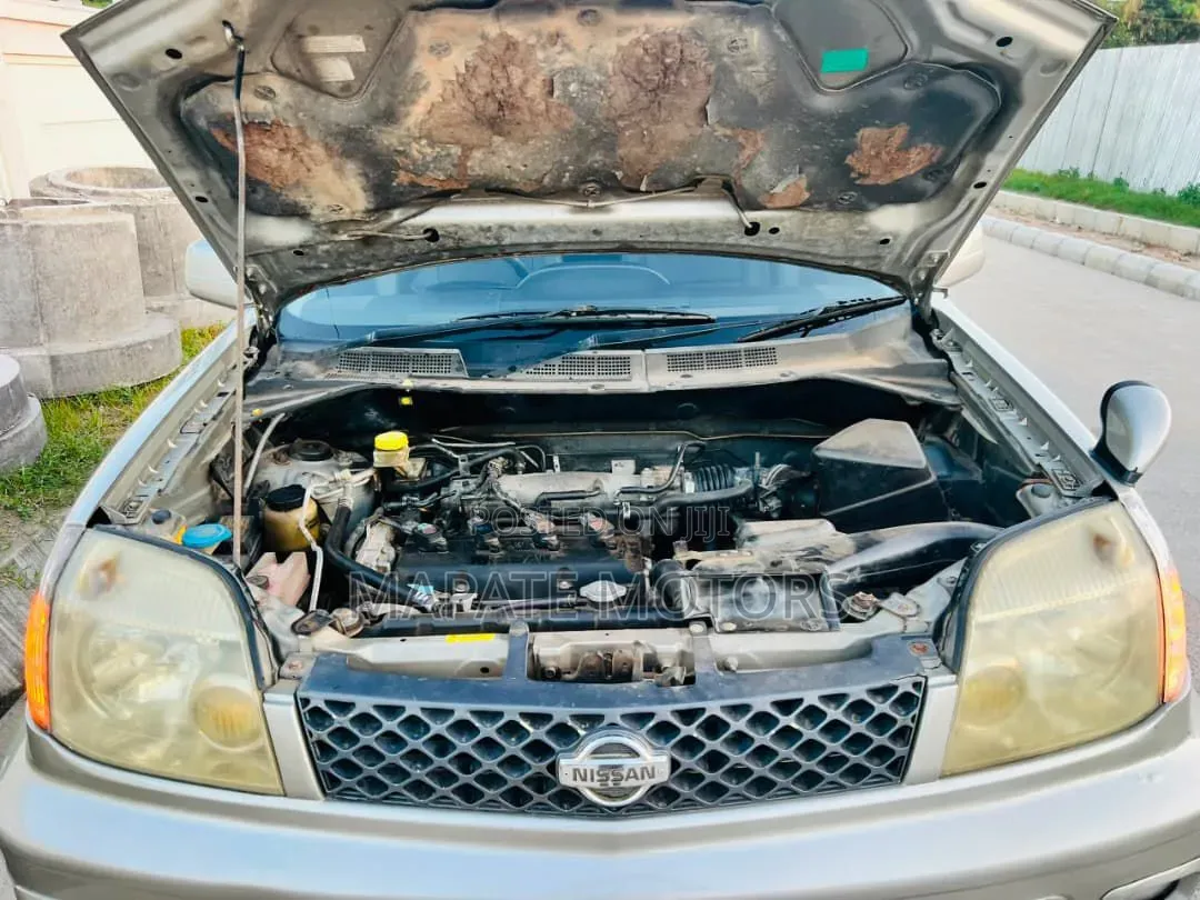 Nissan X-Trail 2003 Silver