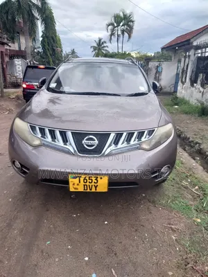 Nissan Murano 2007 Gray