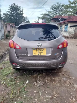 Nissan Murano 2007 Gray