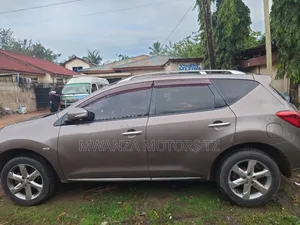 Nissan Murano 2007 Gray
