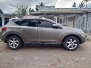 Nissan Murano 2007 Gray