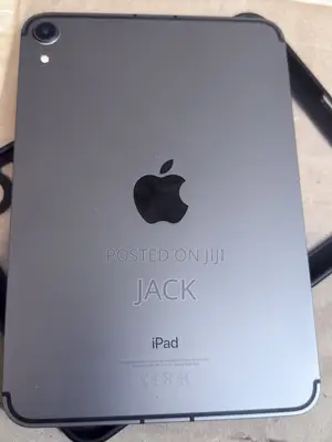 Apple iPad mini Wi-Fi + Cellular 256 GB Gray