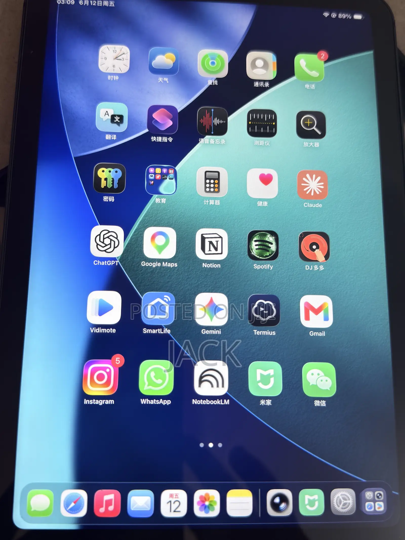 Apple iPad mini Wi-Fi + Cellular 256 GB Gray