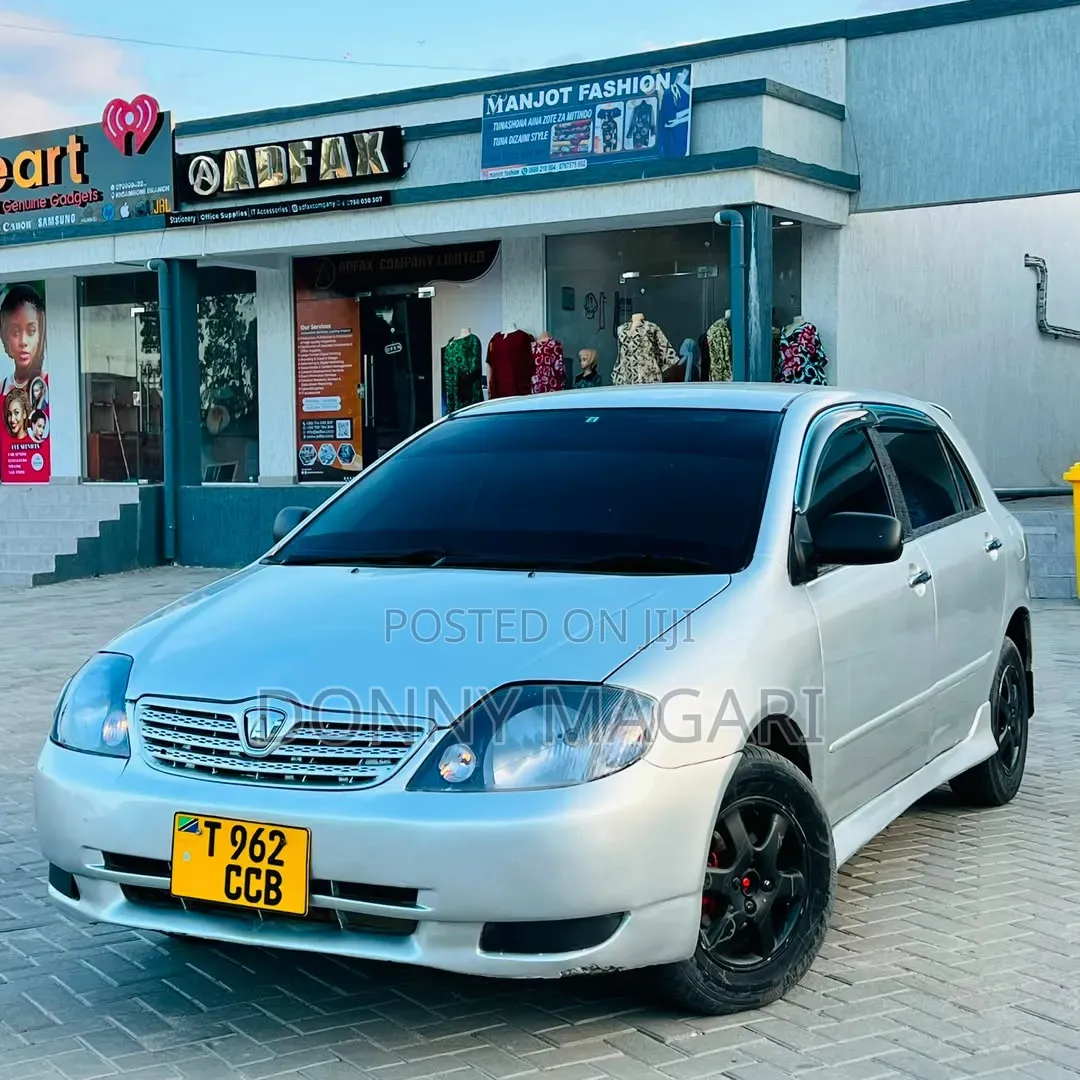Toyota Corolla RunX 2004 Silver