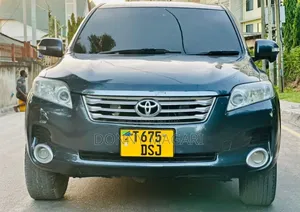 Toyota Vanguard 2009 Gray