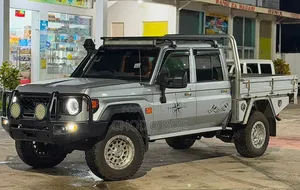 Toyota Land Cruiser 2025 Gray