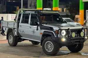 Toyota Land Cruiser 2025 Gray
