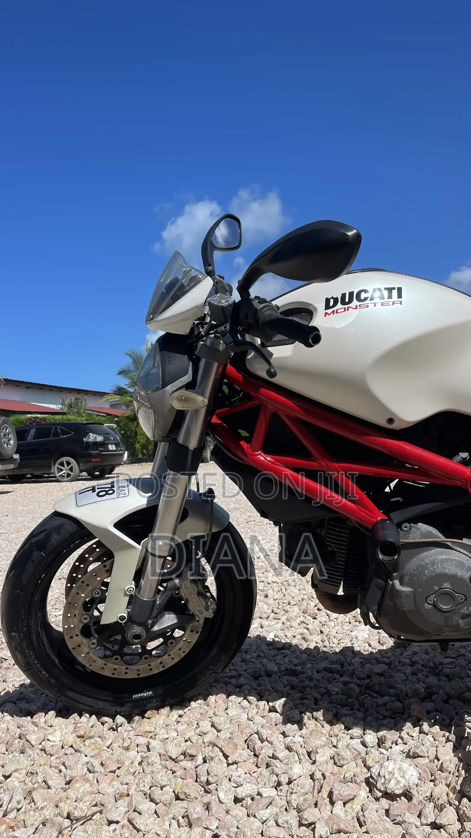 Ducati 2018 White