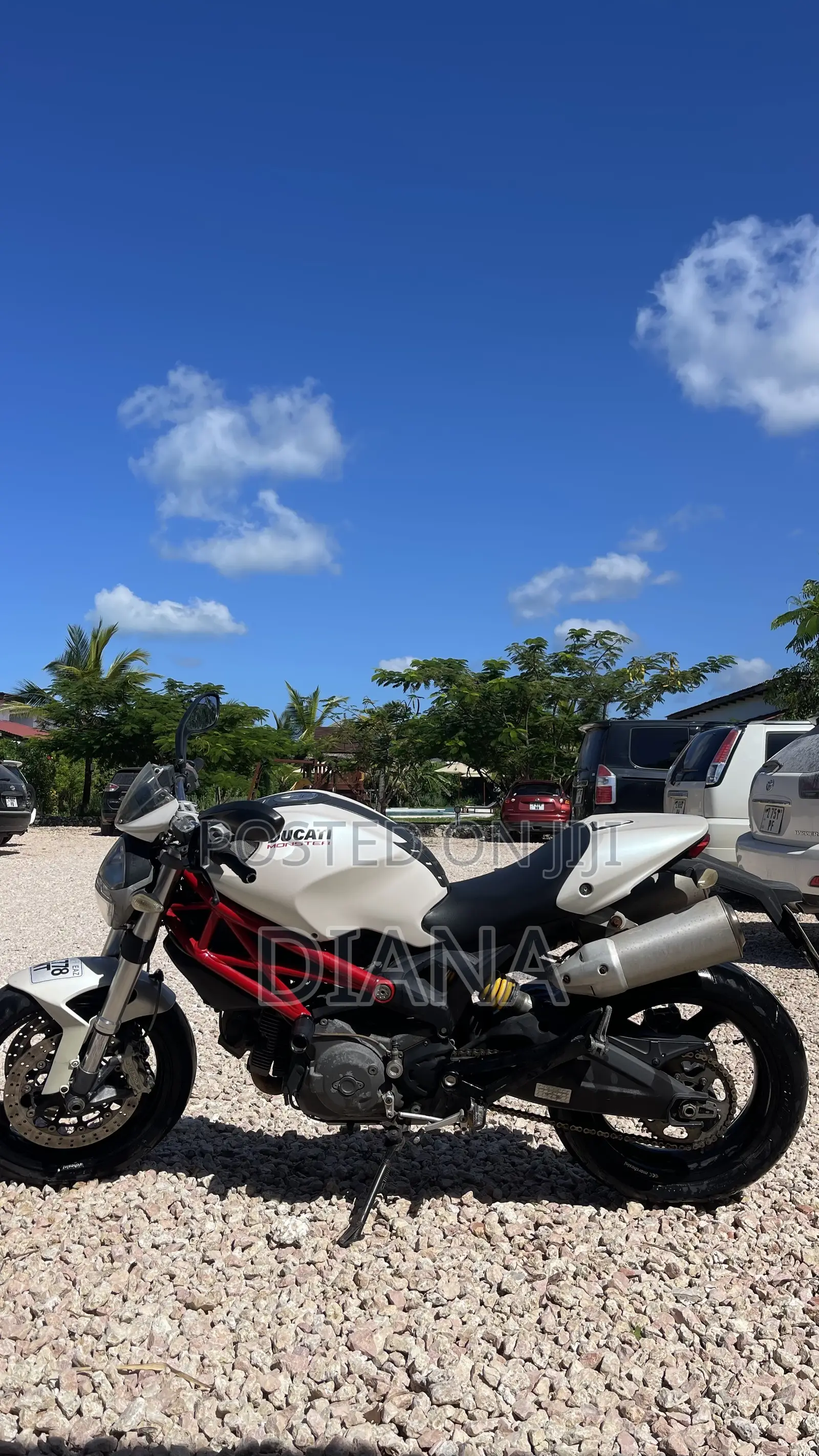 Ducati 2018 White