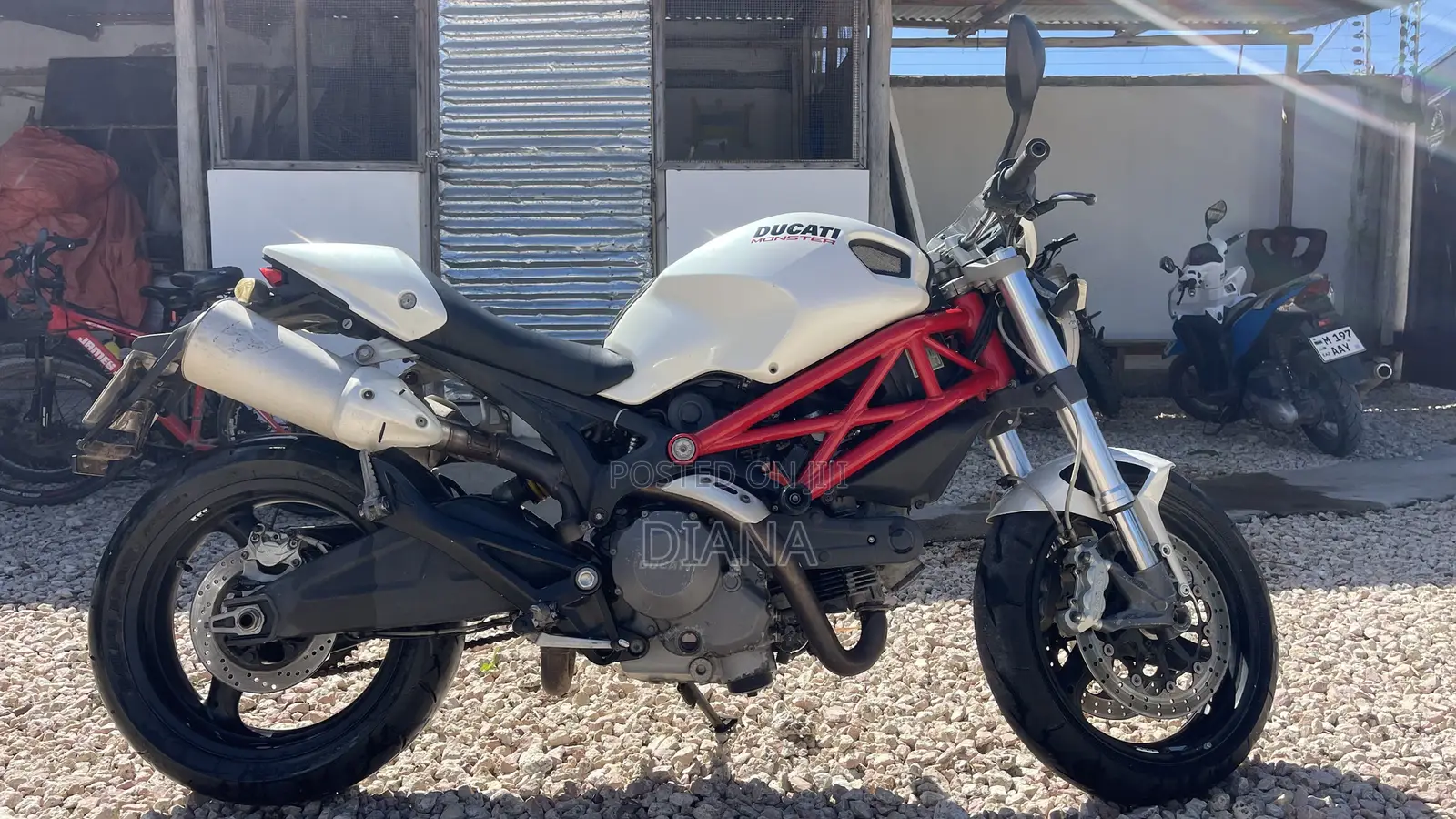 Ducati 2018 White