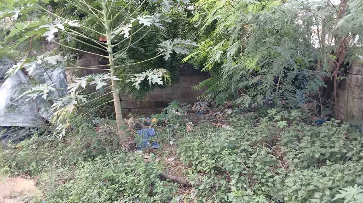 Plot for Sale