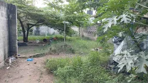 Plot for Sale