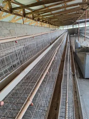 Cage Used 21pcs Bado Mpya