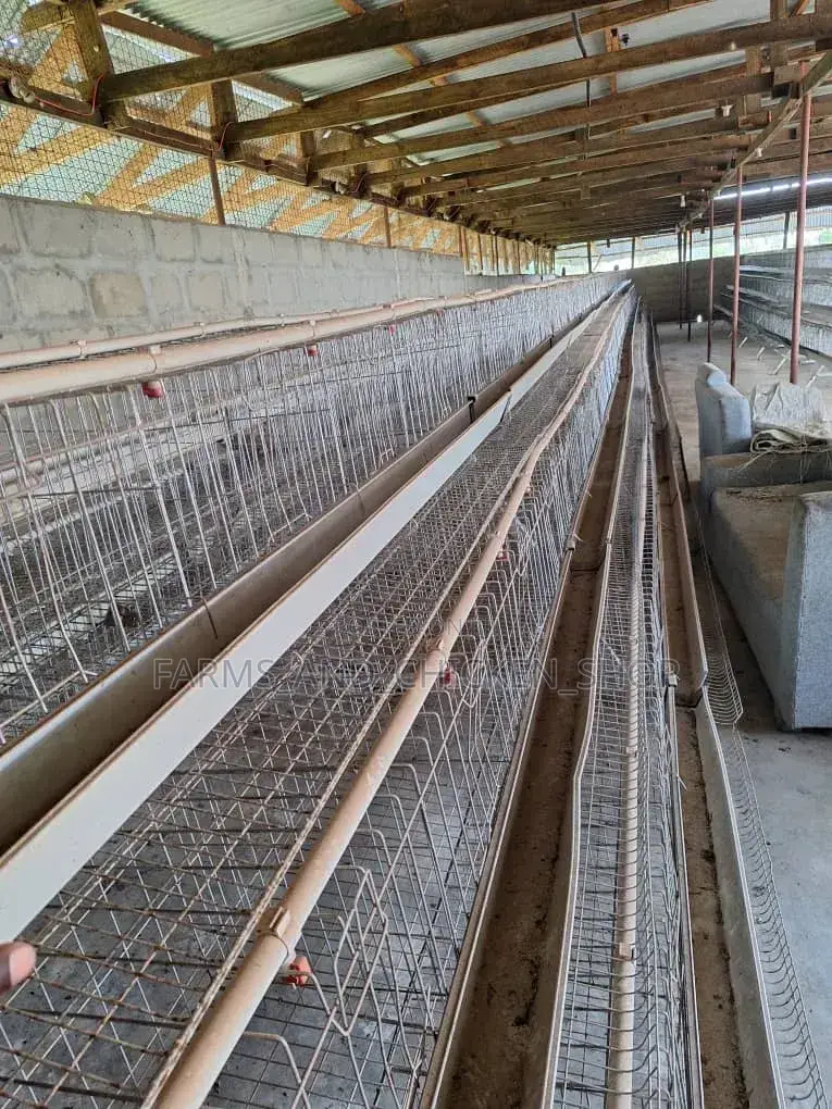 Cage Used 21pcs Bado Mpya