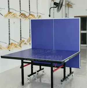Table Tennis Complete Set
