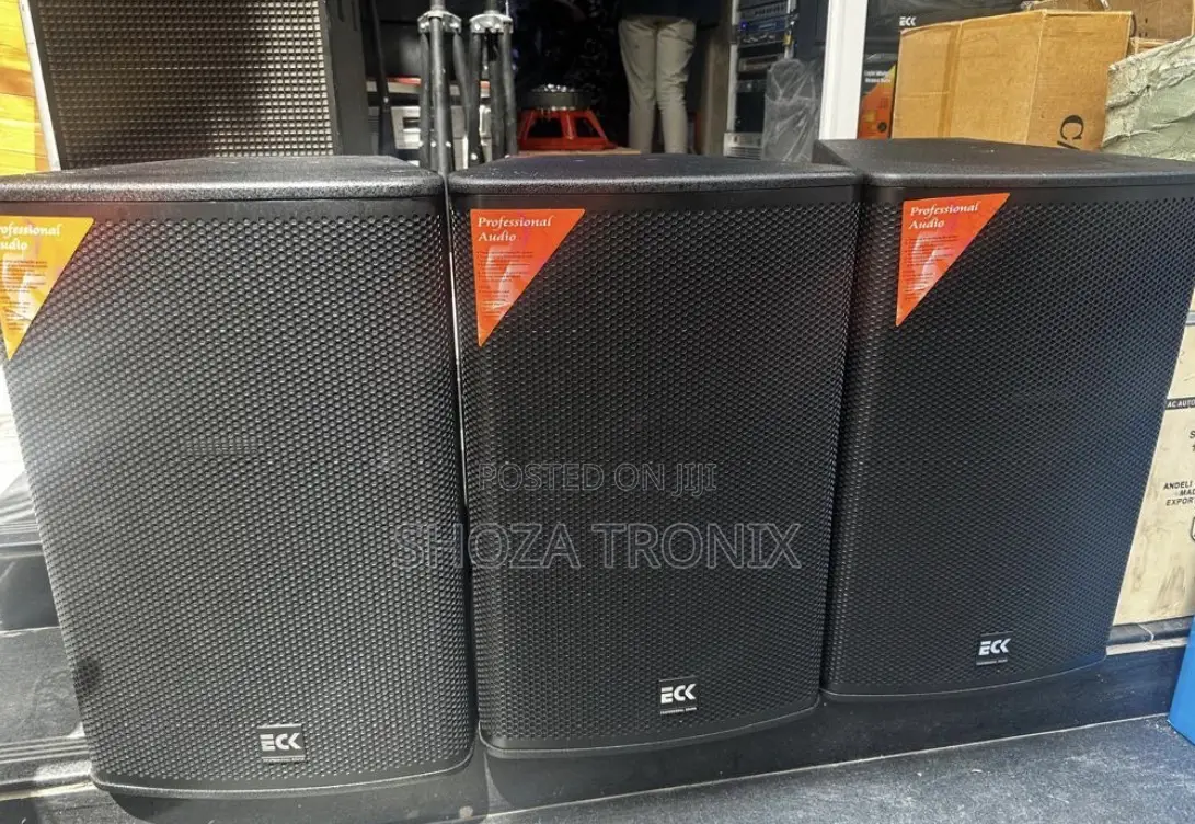 Eck Professional Audio Pa Speaker