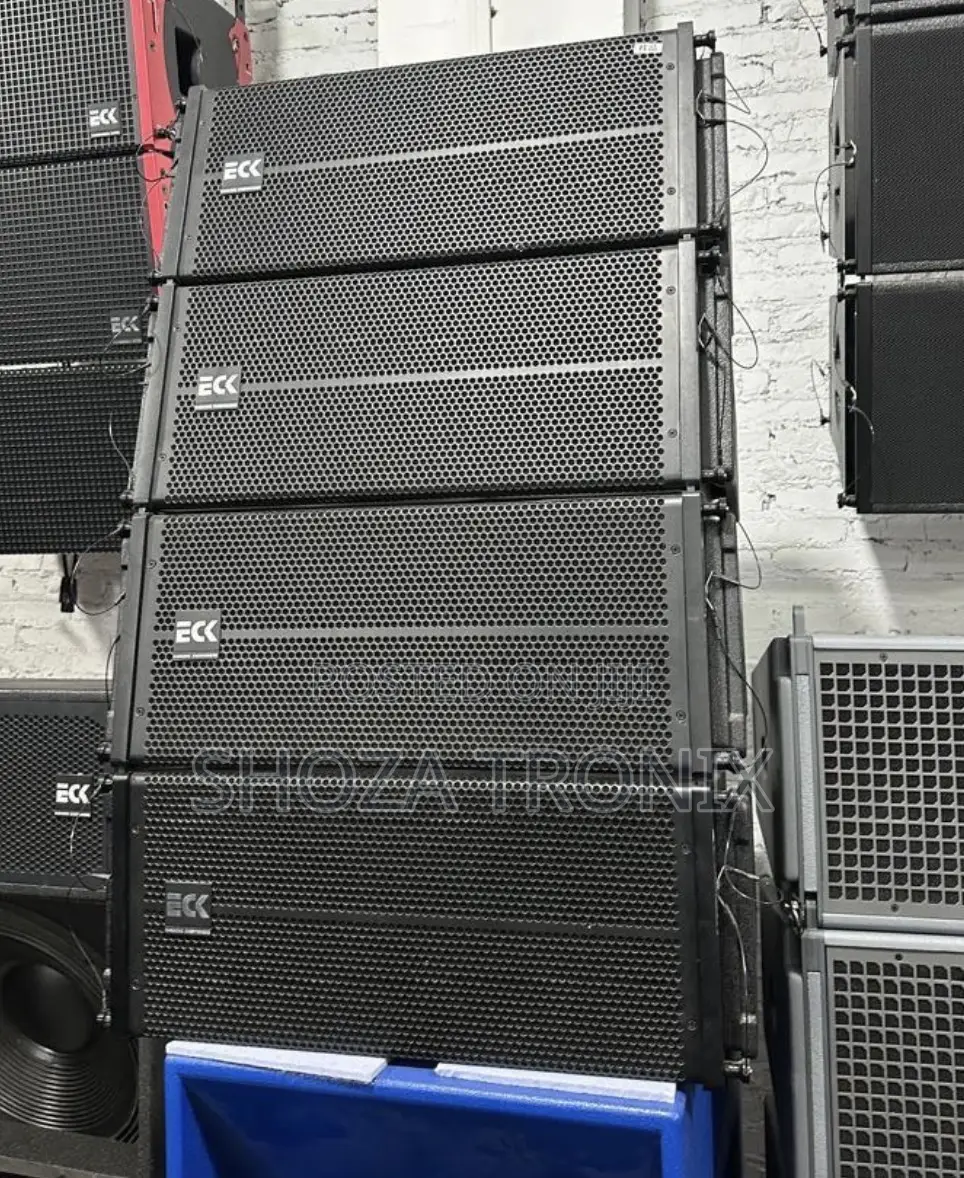 Eck Professional Audio Line Array Speaker System