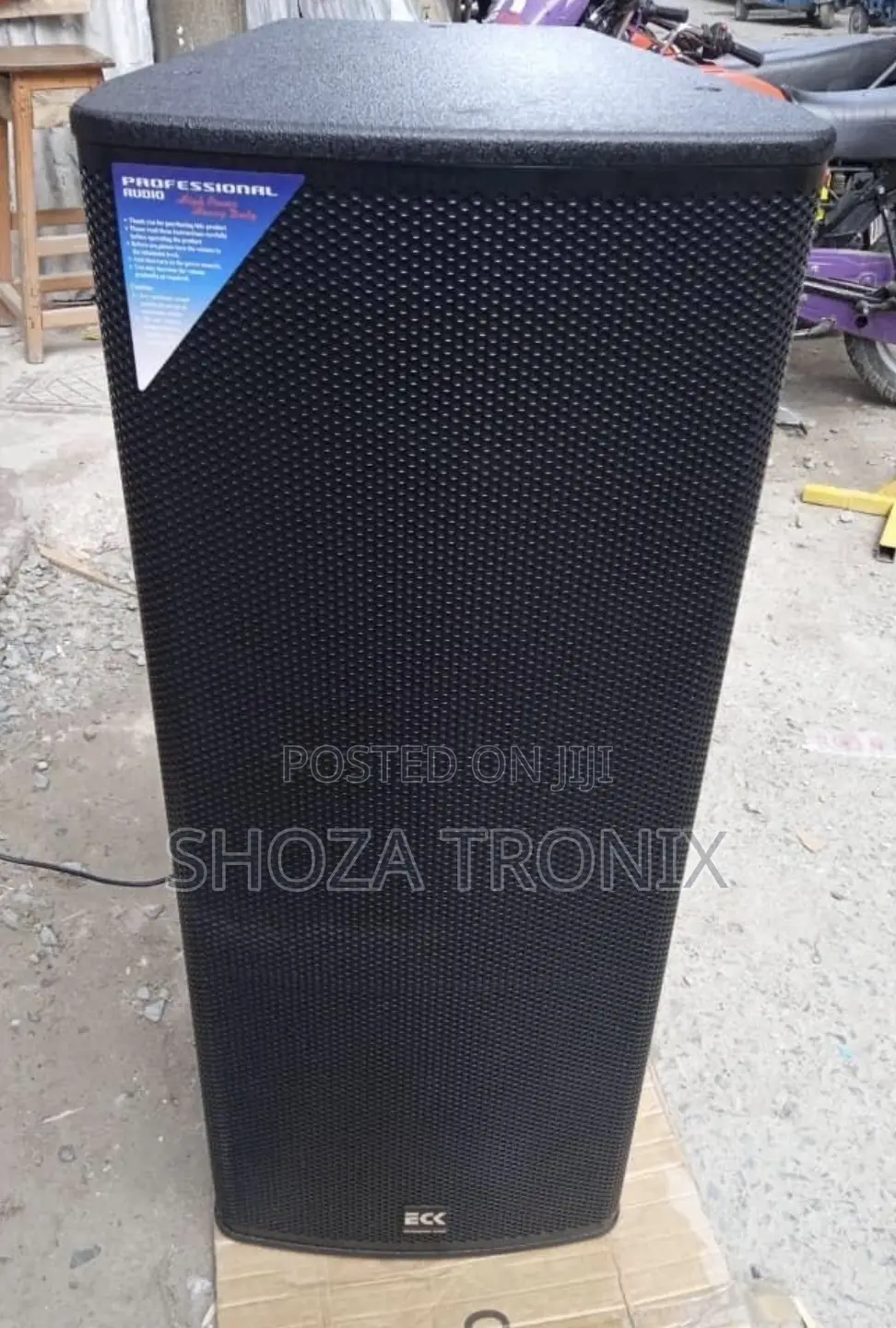Eck Professional Audio Double Speaker