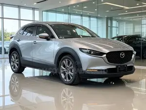Mazda CX-30 2019 Silver