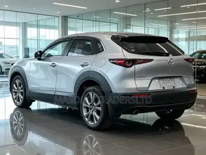 Mazda CX-30 2019 Silver