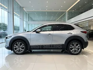 Mazda CX-30 2019 Silver