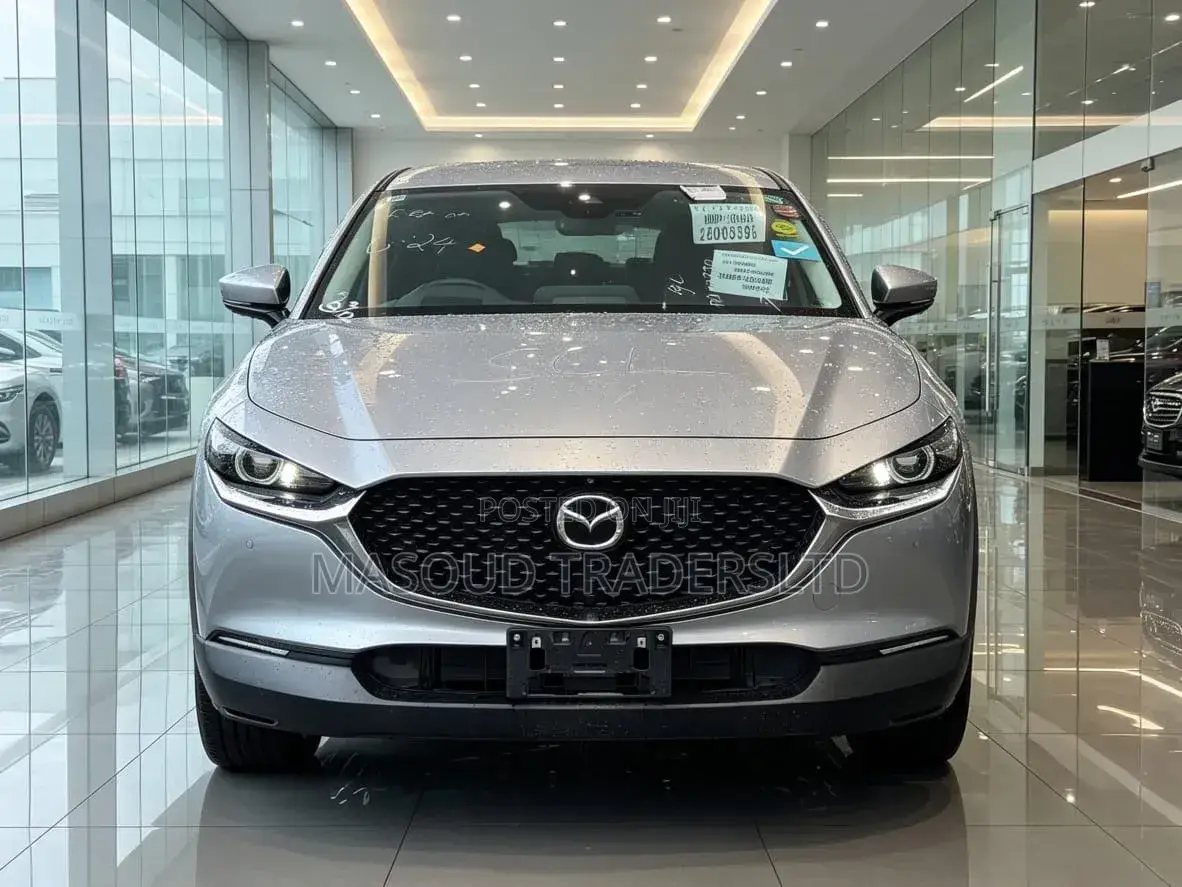 Mazda CX-30 2019 Silver