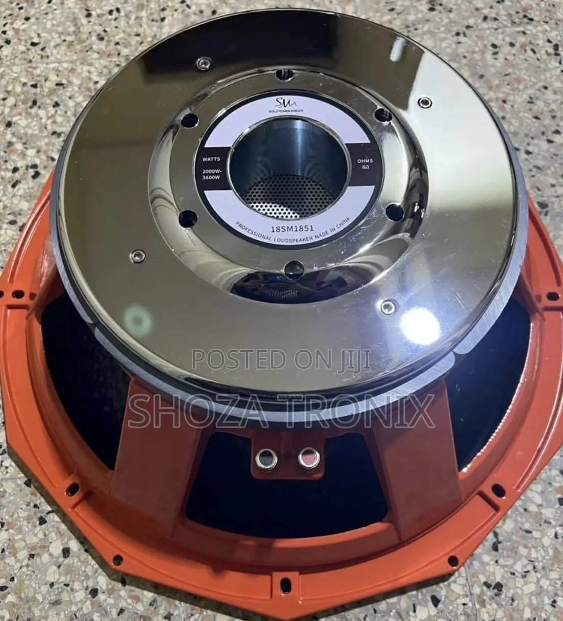 Naked Speaker Driver