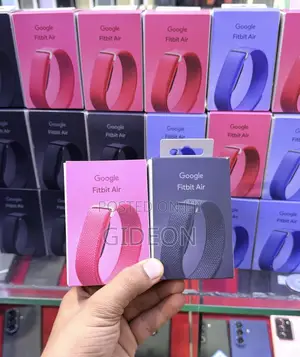 Google Fitbit Air