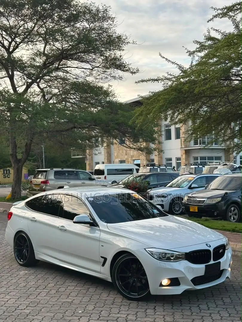 BMW 3 Series 320i RWD 2013 White