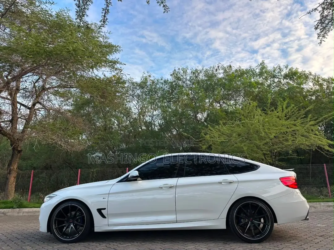 BMW 3 Series 320i RWD 2013 White