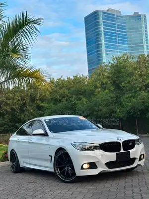 BMW 3 Series 320i RWD 2013 White