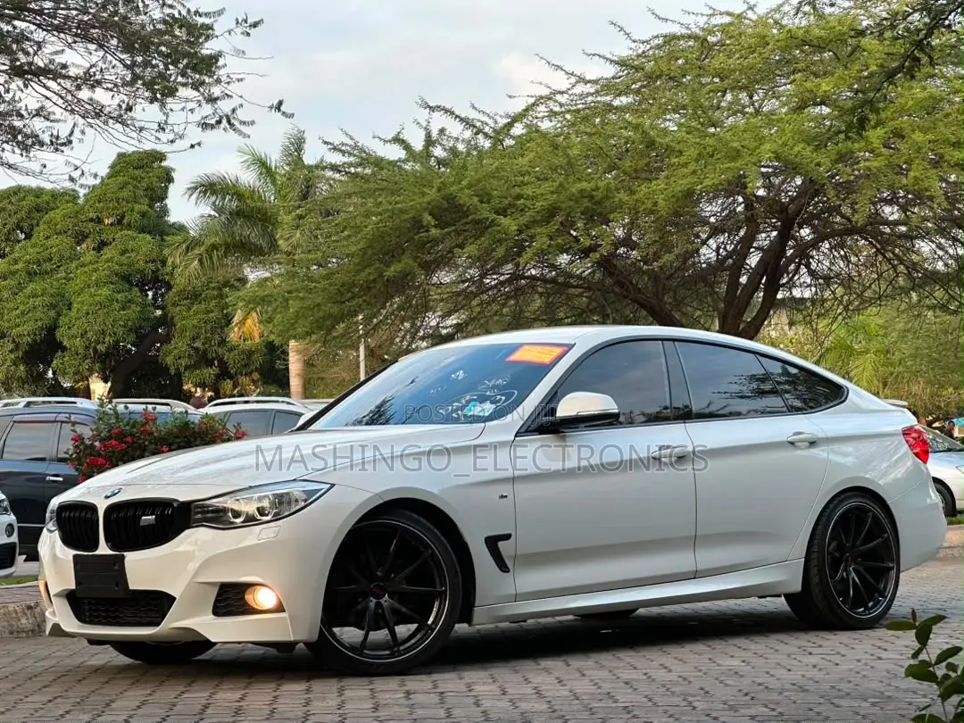 BMW 3 Series 320i RWD 2013 White