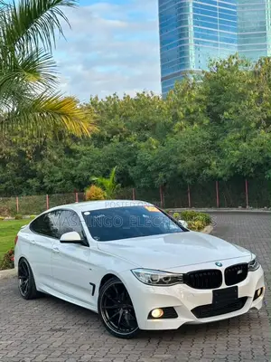 BMW 3 Series 320i RWD 2013 White
