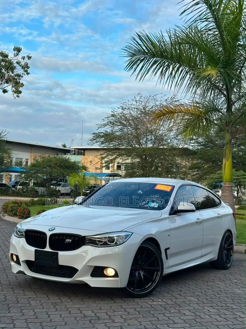 BMW 3 Series 320i RWD 2013 White