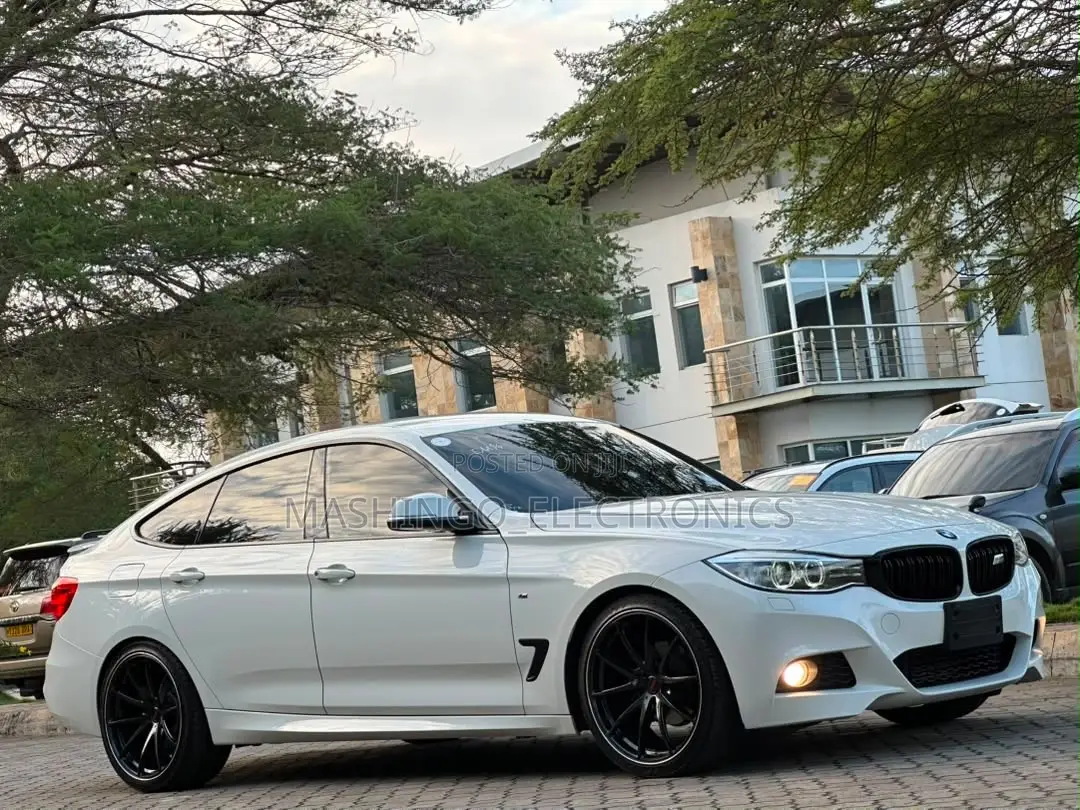 BMW 3 Series 320i RWD 2013 White