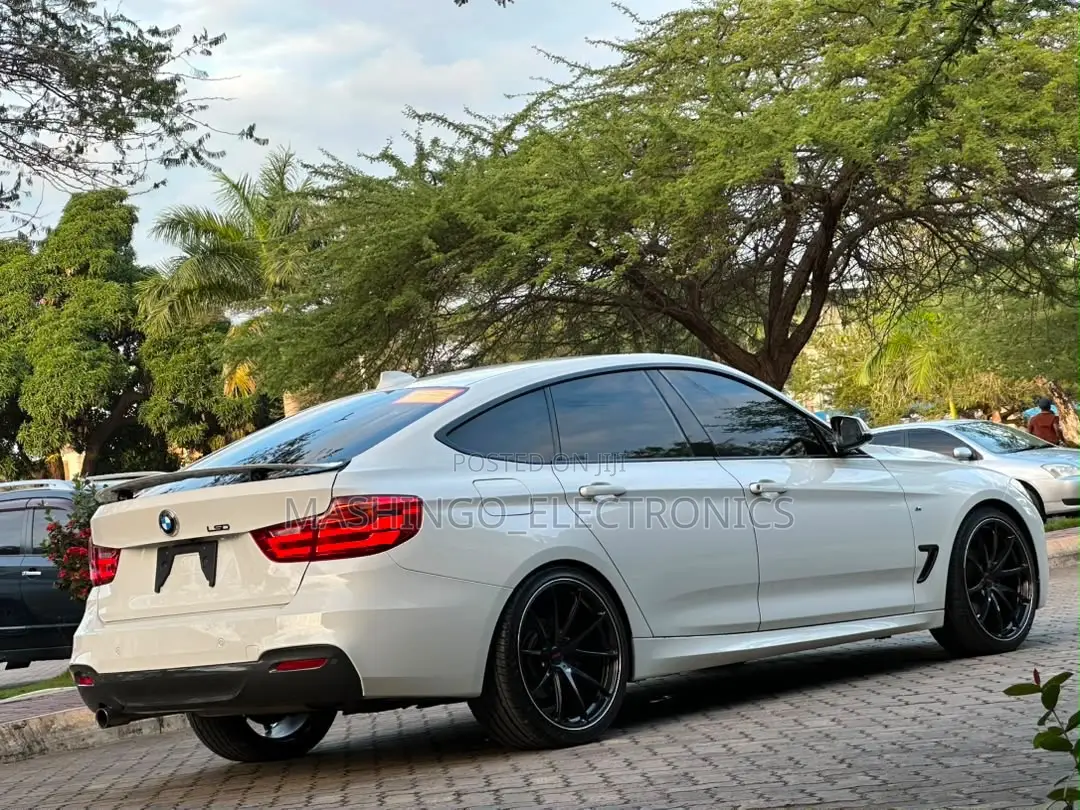BMW 3 Series 320i RWD 2013 White