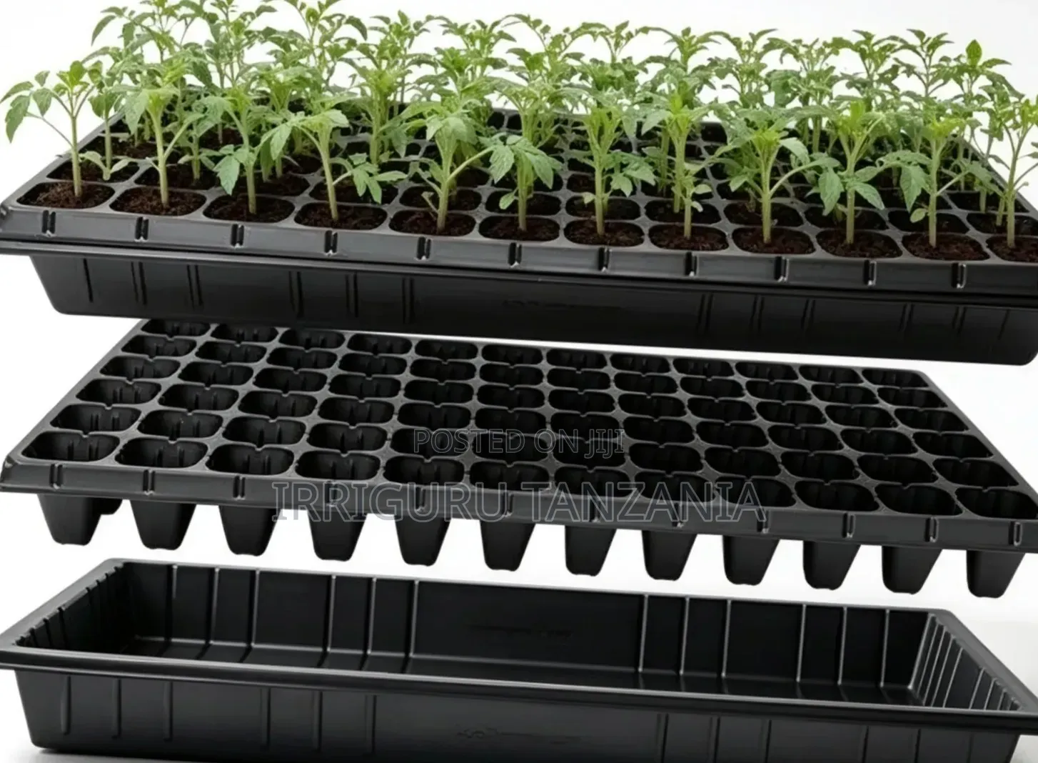 Nursery Trays