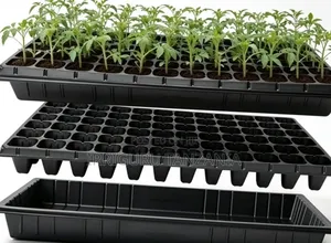 Nursery Trays